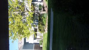 20170507_080447.jpg